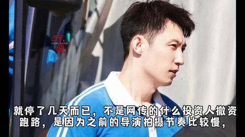 娱乐爆料彭冠英视频大全,娱乐爆料中的精彩瞬间回顾