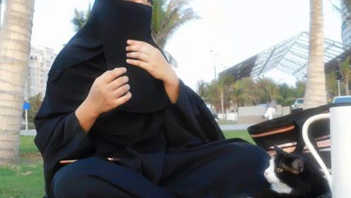 娱乐吃瓜君朋友